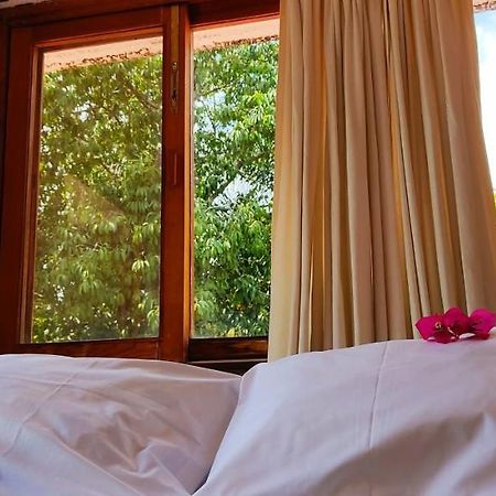 Ixlum Hoteles Y Casas Vacacionales เตโปซตลัน ภายนอก รูปภาพ